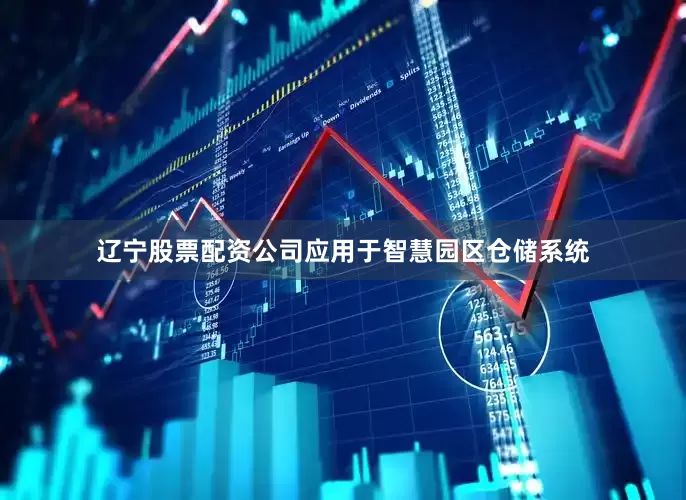 辽宁股票配资公司应用于智慧园区仓储系统