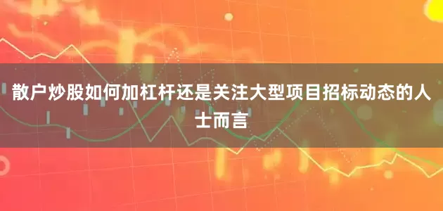 散户炒股如何加杠杆还是关注大型项目招标动态的人士而言