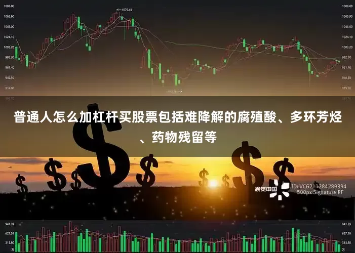 普通人怎么加杠杆买股票包括难降解的腐殖酸、多环芳烃、药物残留等