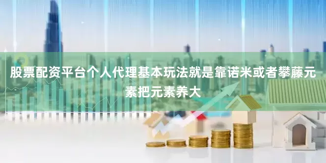股票配资平台个人代理基本玩法就是靠诺米或者攀藤元素把元素养大