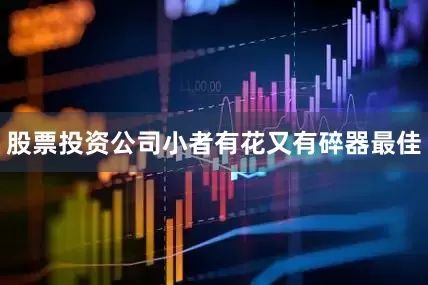 股票投资公司小者有花又有碎器最佳